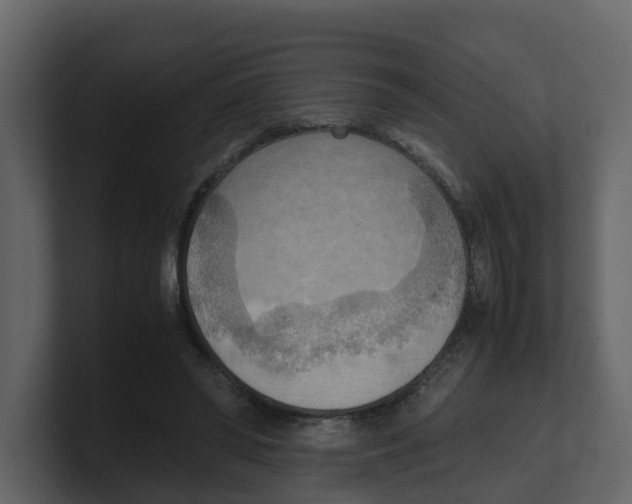 X0000100480398200807111106