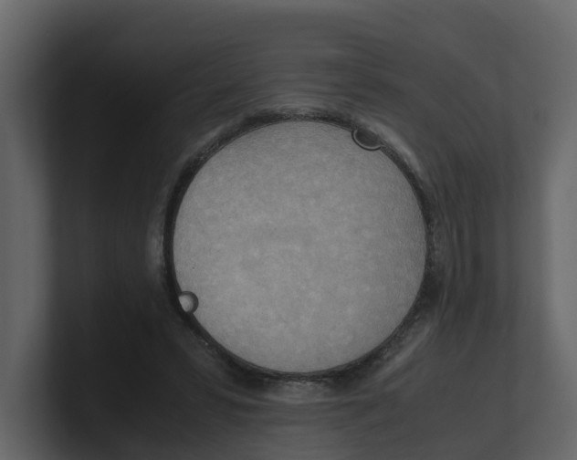 X0000100480399200807111106