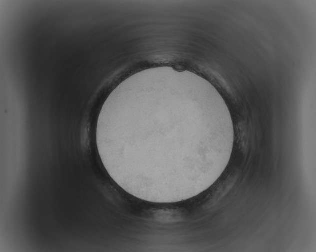 X0000100480400200807111106