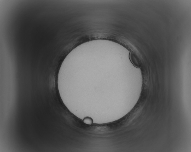 X0000100480401200807111106