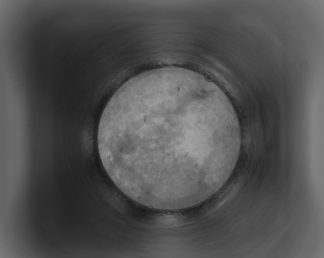 X0000100480402200807111106