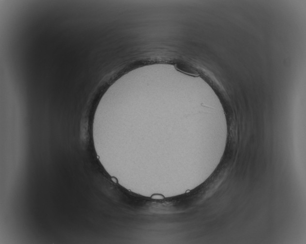 X0000100480403200807111106