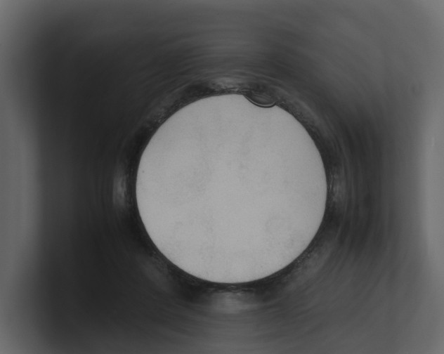 X0000100480408200807111106