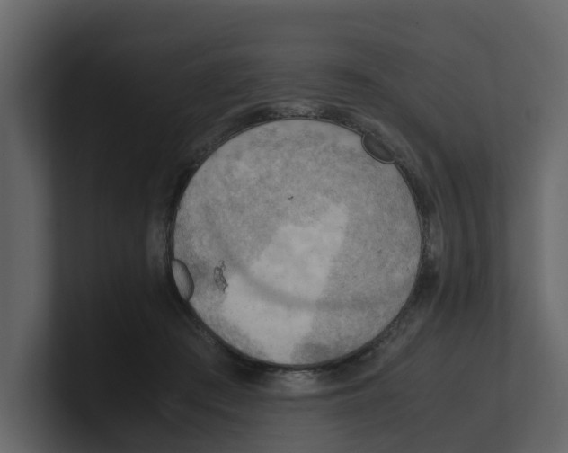 X0000100480409200807111105