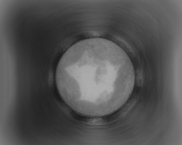 X0000100480410200807111105