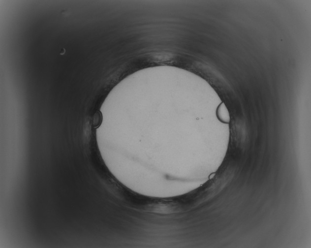 X0000100480412200807111105