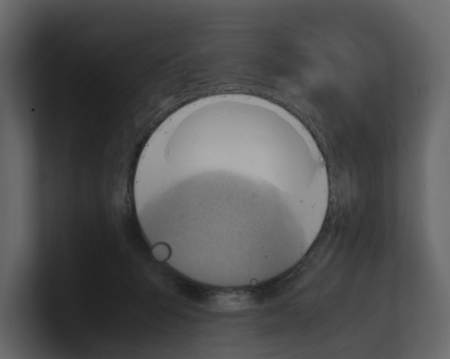 X0000100480415200807111105