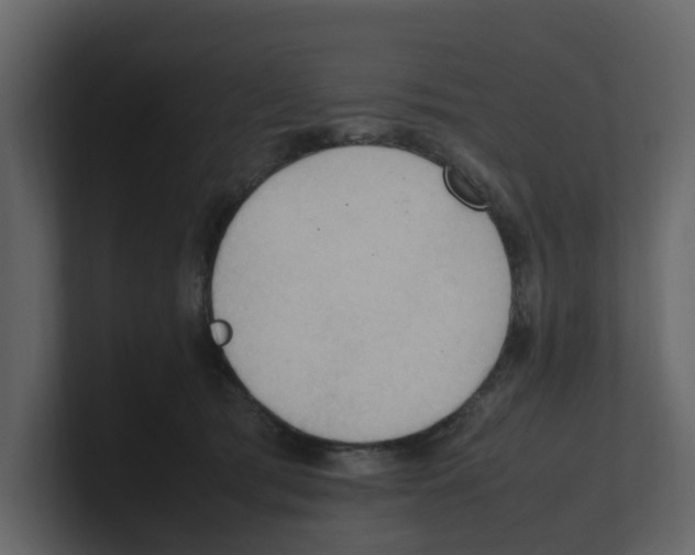 X0000100480417200807111105