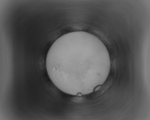 X0000100480418200807111105