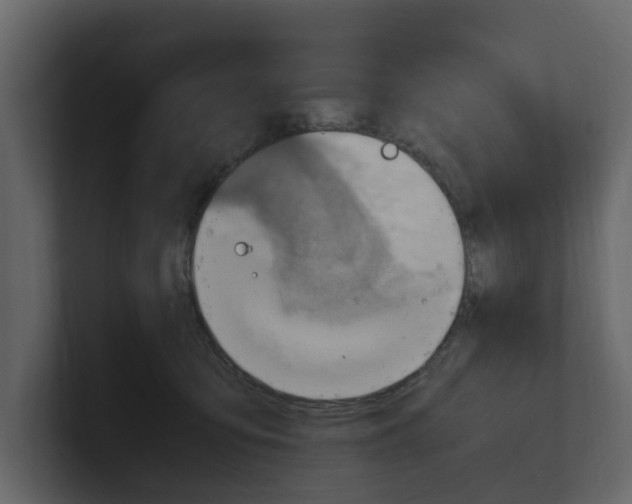 X0000100480419200807111105