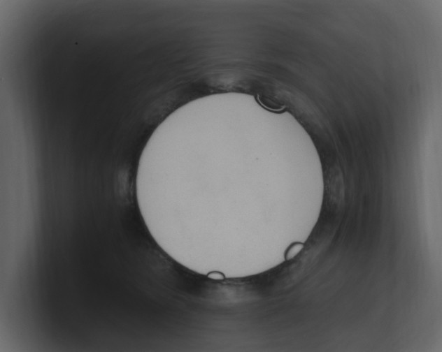 X0000100480420200807111105