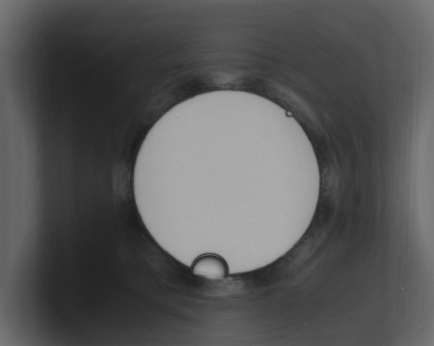 X0000100480421200807111105