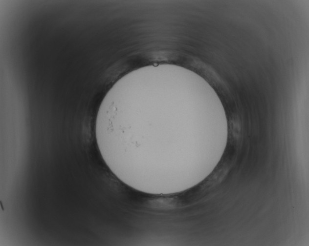 X0000100480422200807111105