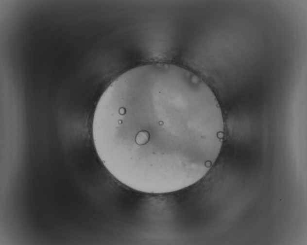 X0000100480423200807111105