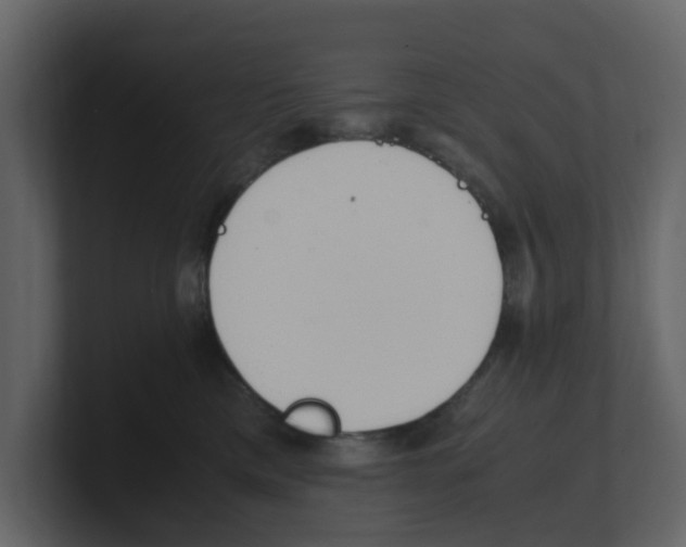 X0000100480425200807111105