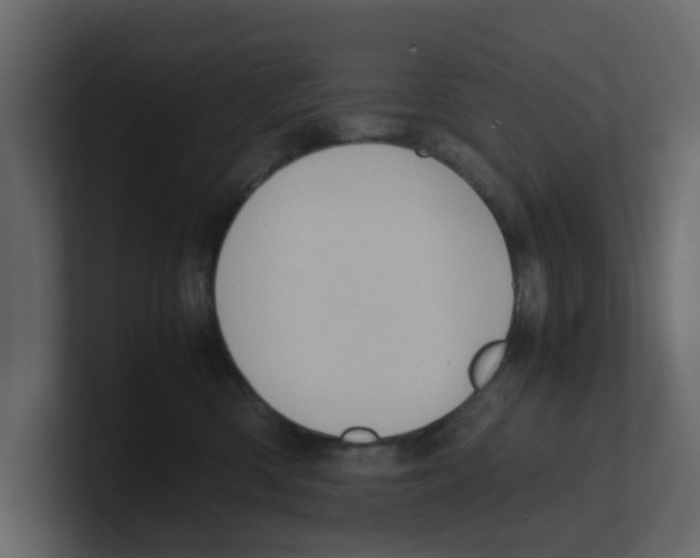 X0000100480426200807111105