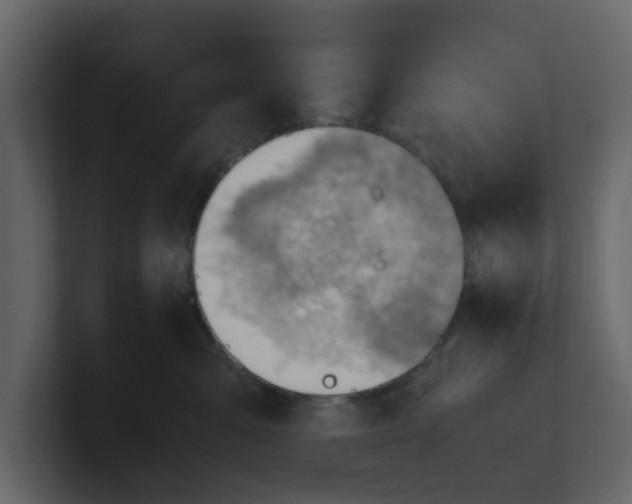 X0000100480427200807111105