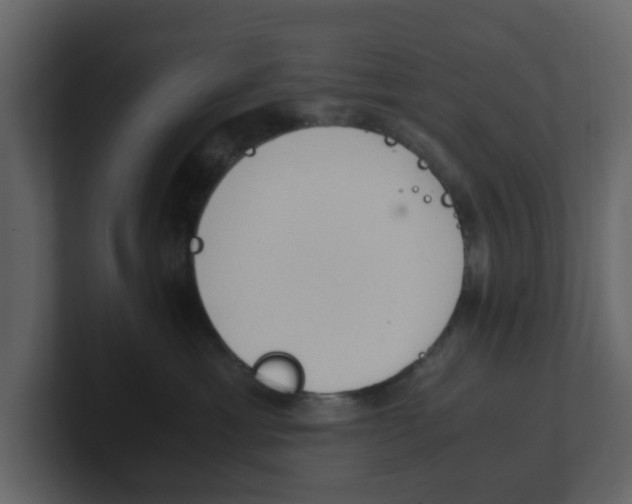 X0000100480429200807111105