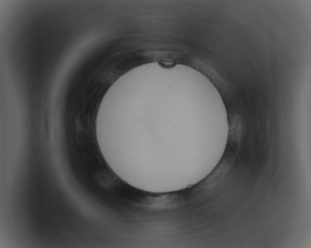 X0000100480430200807111105