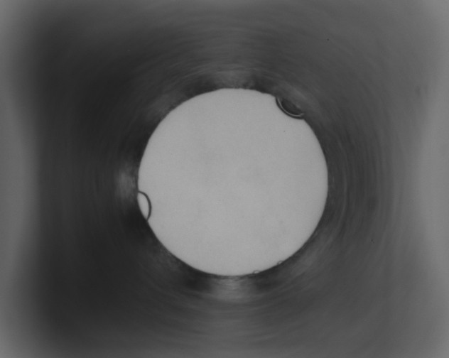 X0000100480432200807111105