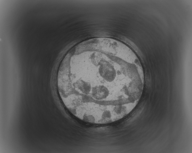 X0000100480433200807111104