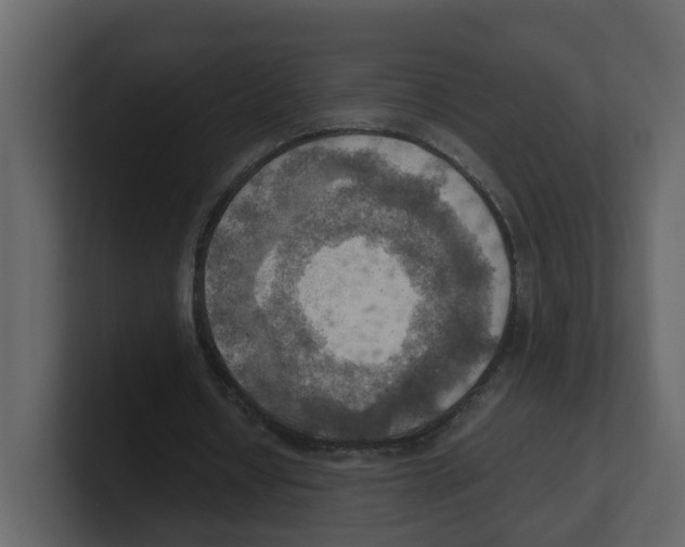 X0000100480434200807111104