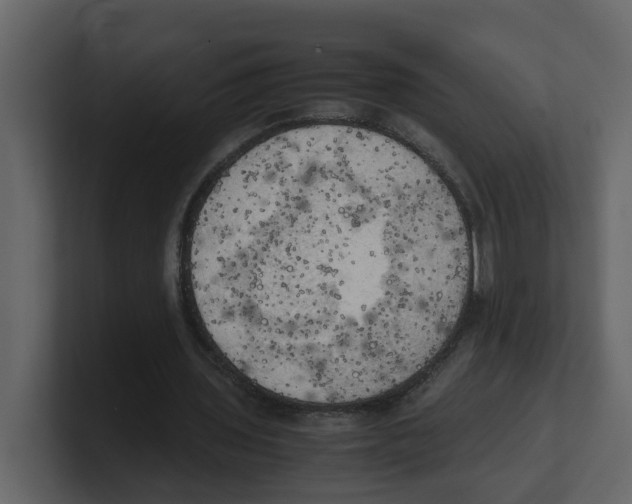 X0000100480435200807111105