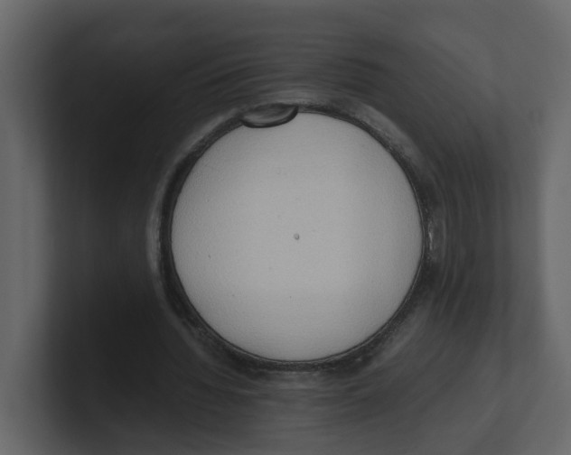 X0000100480436200807111105