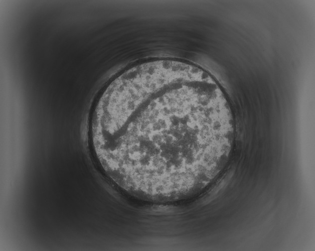 X0000100480437200807111105