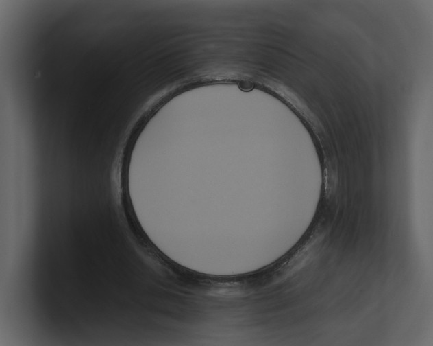 X0000100480438200807111105