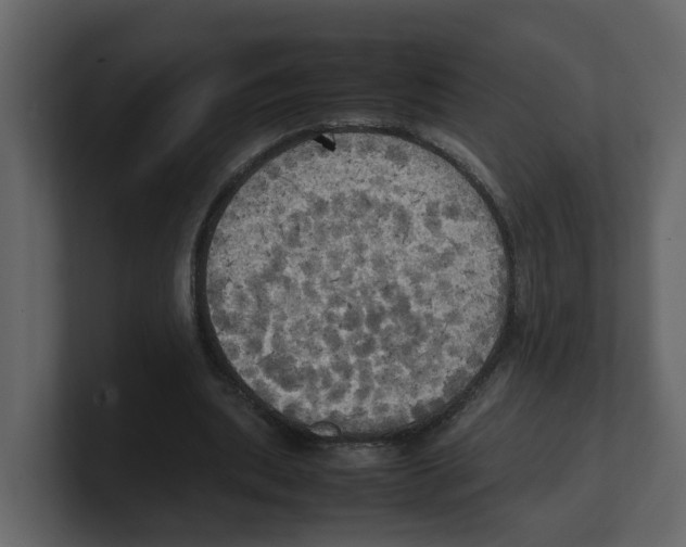 X0000100480439200807111105