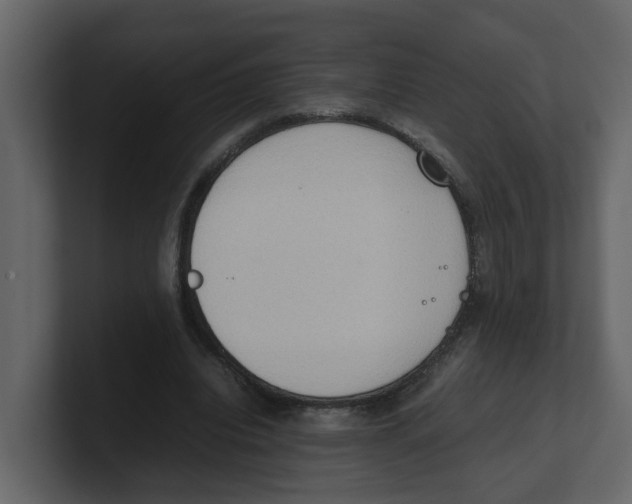 X0000100480440200807111105