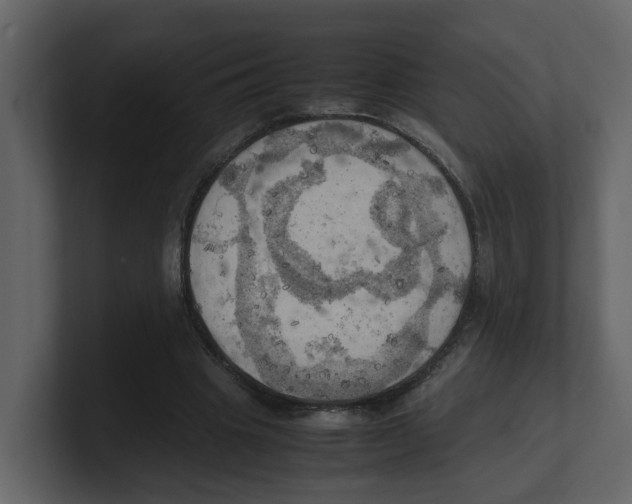 X0000100480441200807111105