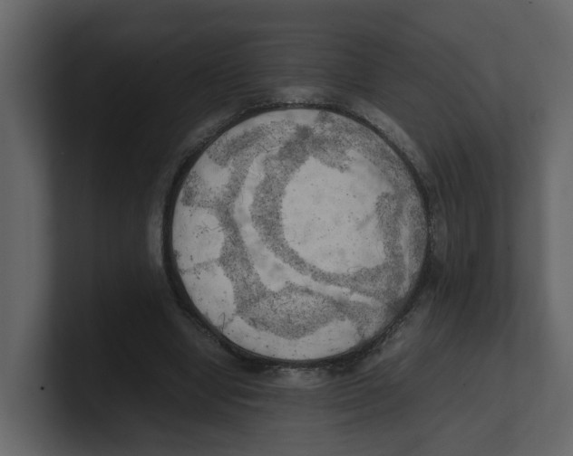 X0000100480442200807111105