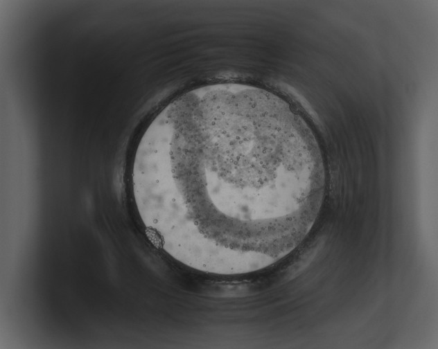 X0000100480443200807111105