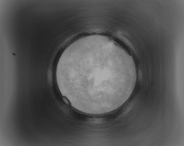 X0000100480444200807111105