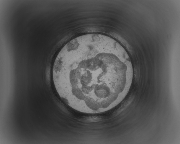 X0000100480445200807111105