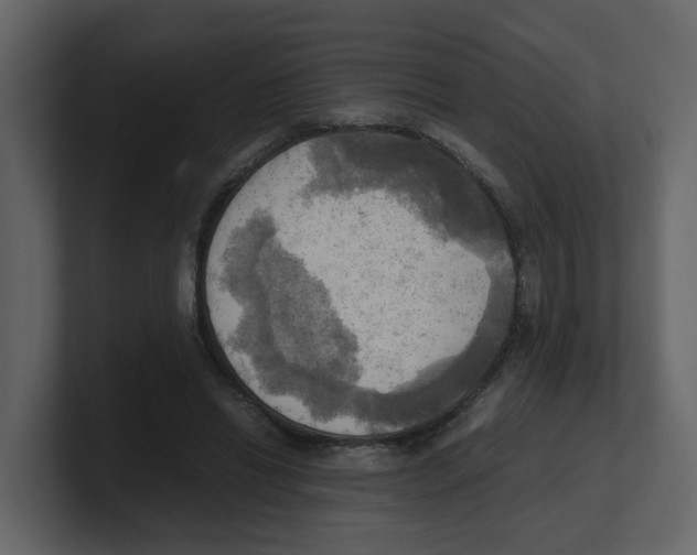 X0000100480446200807111105