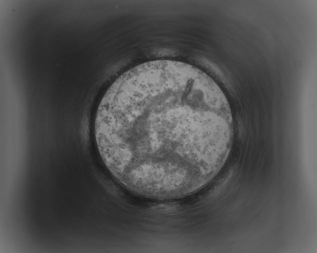 X0000100480447200807111105