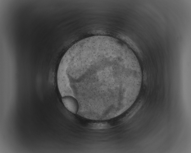 X0000100480449200807111105