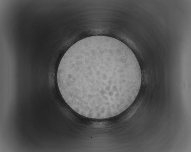 X0000100480450200807111105