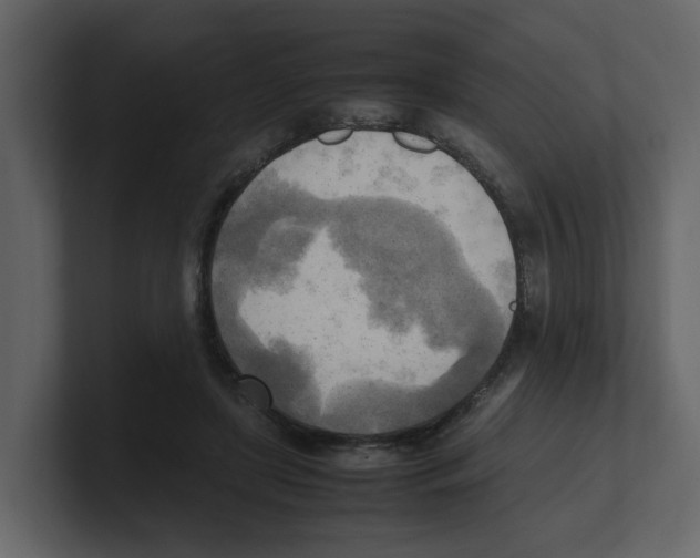 X0000100480451200807111105