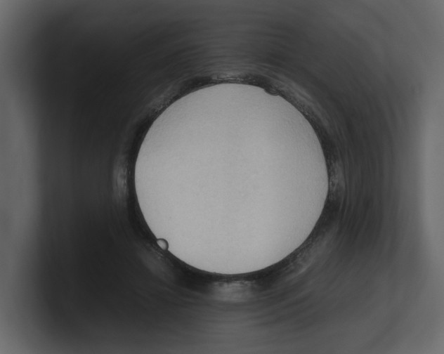 X0000100480452200807111105