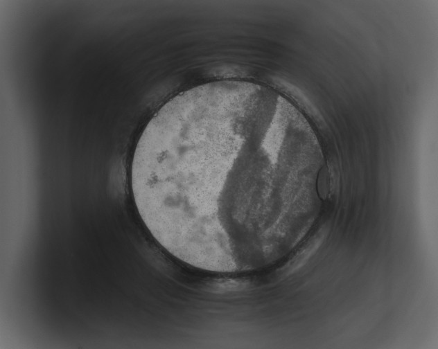 X0000100480453200807111105