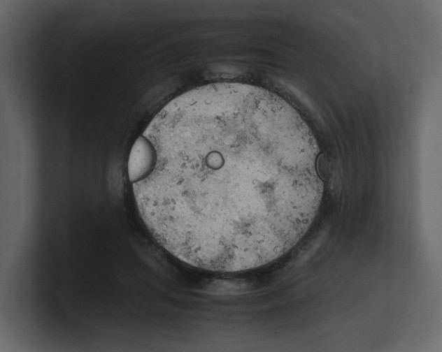 X0000100480455200807111105
