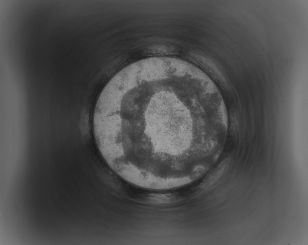 X0000100480457200807111105