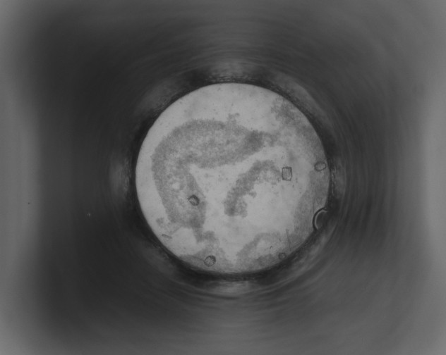 X0000100480458200807111105