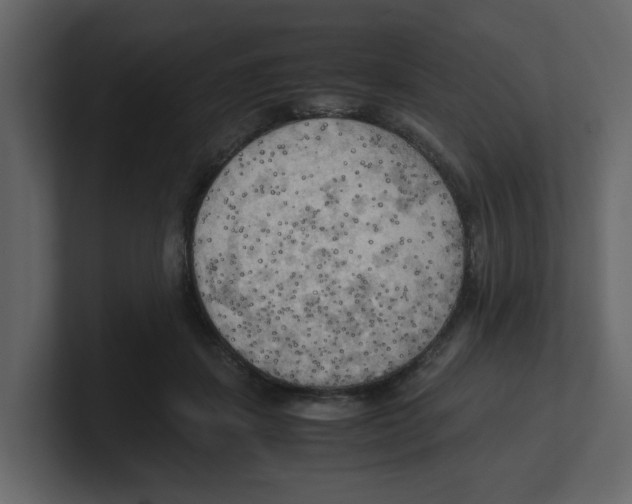 X0000100480459200807111105