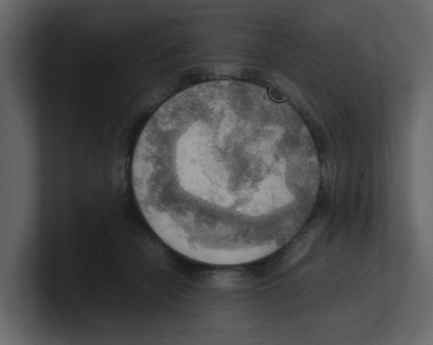 X0000100480462200807111105