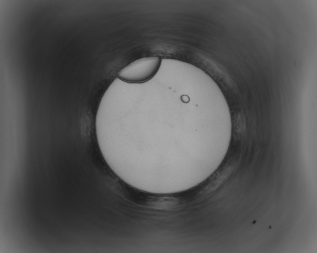 X0000100480463200807111105